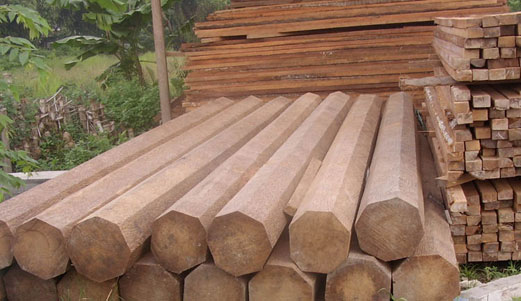 batang kayu